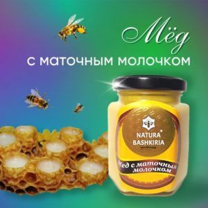 МЕД С МАТОЧНЫМ МОЛОЧКОМ Ave Apis — купить напрямую у Производителя — оптимальная цена